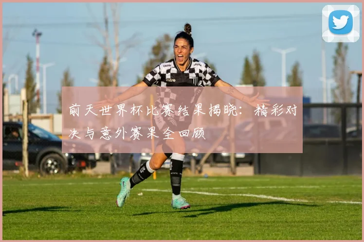前天世界杯比赛结果揭晓:精彩对决与意外赛果全回顾