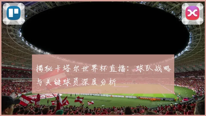 揭秘卡塔尔世界杯直播:球队战略与关键球员深度分析