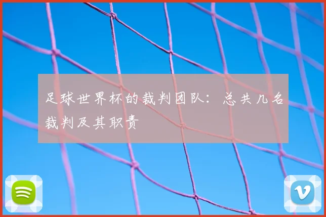 足球世界杯的裁判团队：总共几名裁判及其职责