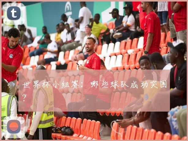 世界杯小组赛:哪些球队成功突围?