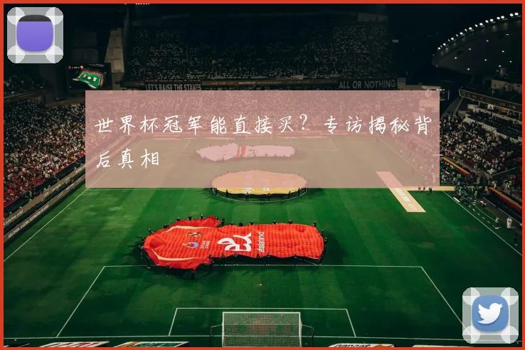 世界杯冠军能直接买?专访揭秘背后真相
