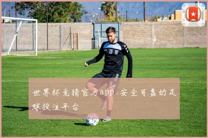 世界杯竞猜官方app_安全可靠的足球投注平台