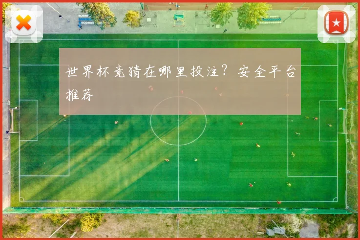 世界杯竞猜在哪里投注?安全平台推荐