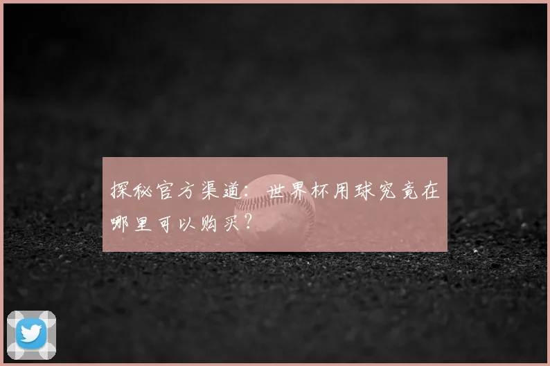探秘官方渠道：世界杯用球究竟在哪里可以购买？