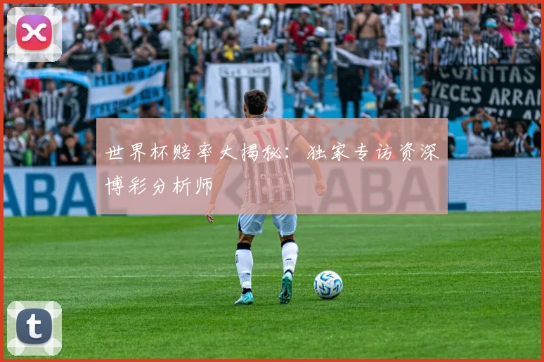 世界杯赔率大揭秘:独家专访资深博彩分析师
