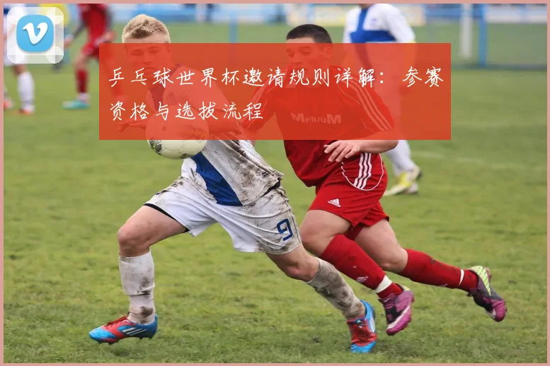 乒乓球世界杯邀请规则详解:参赛资格与选拔流程