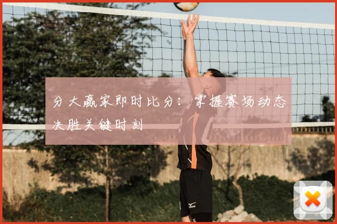 分大赢家即时比分：掌握赛场动态决胜关键时刻