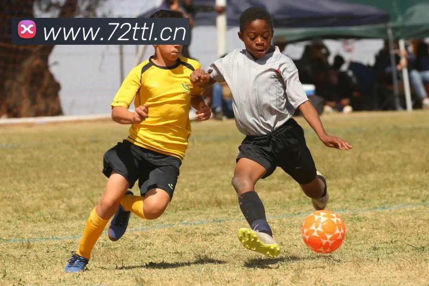 爱游戏ayx官方网登录APP 封面图